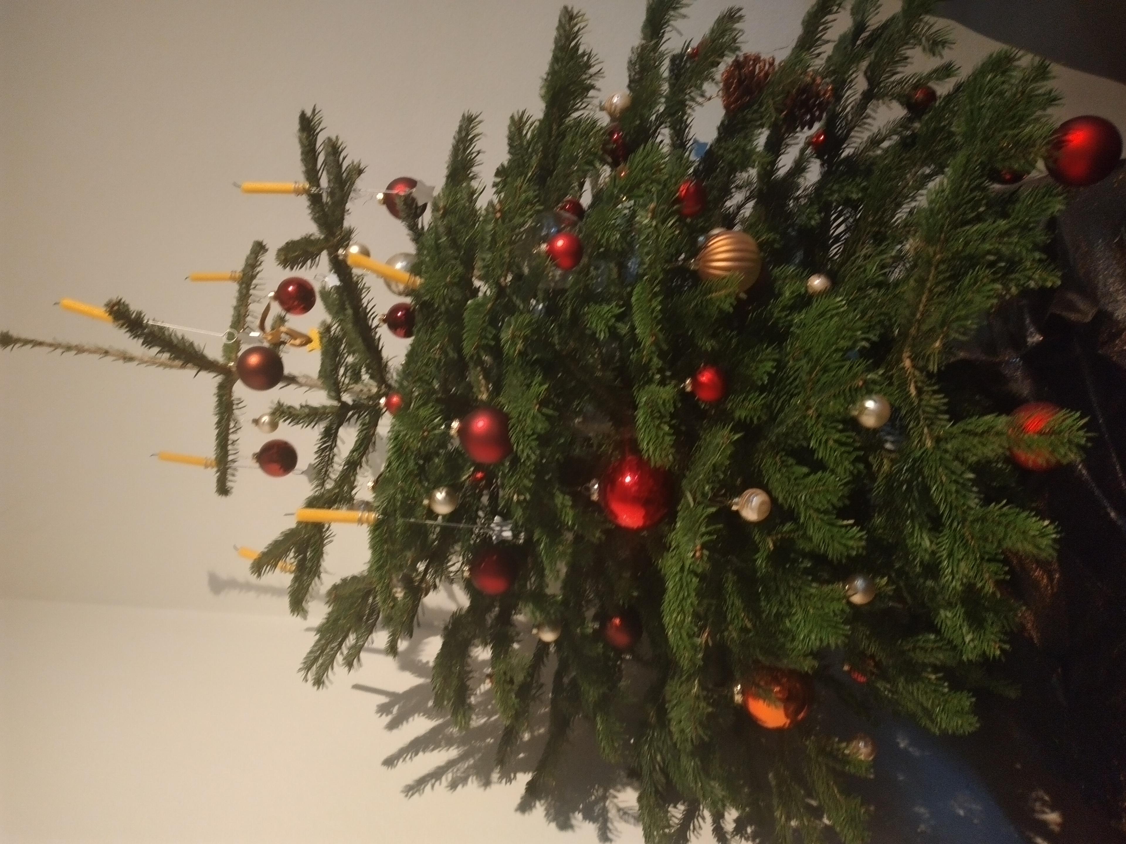 la contrée des troubadours
Quand ce jour-là le troubadour découvrit une belle contrée le long d’un chemin perdu parmi s...