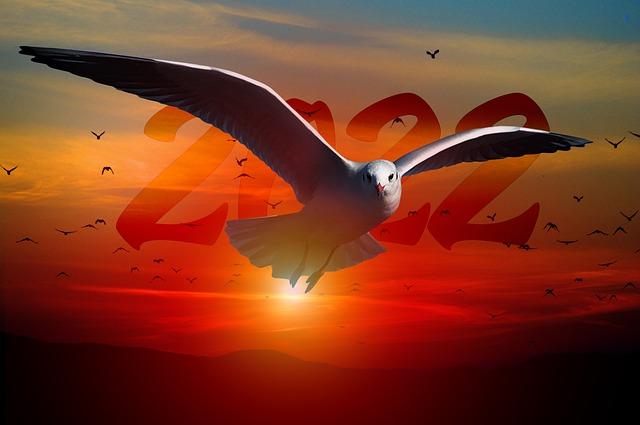 في وداع غير ودي لعام آفل