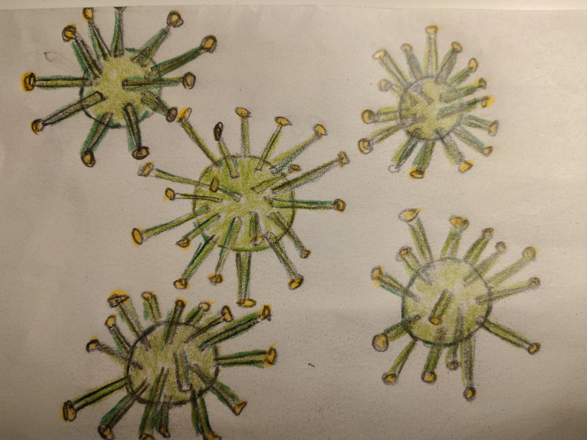 تاريخ الفيروسات البيئية وتفسيرها